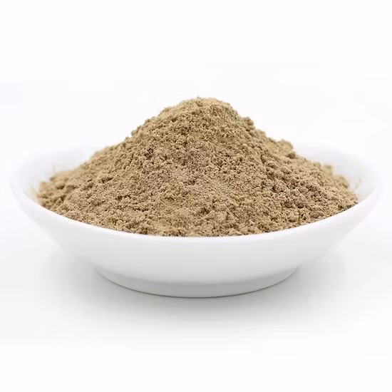 Factory Sales Spicy Delicious BBQ Seasoning Powder Mix Hot Sale Blend