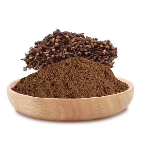 Factory Sales Spicy Delicious BBQ Seasoning Powder Mix Hot Sale Blend