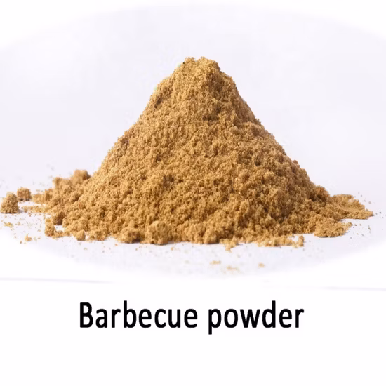 Factory Sales Spicy Delicious BBQ Seasoning Powder Mix Hot Sale Blend